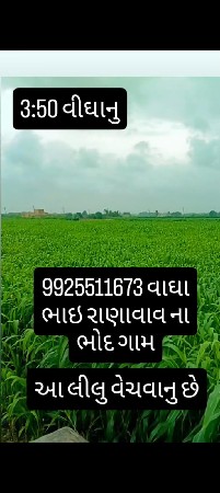 આ જુવાર વેચવાની છે
