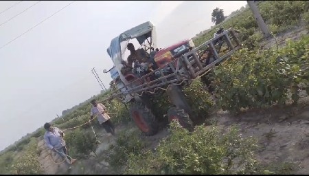 કપાસ/તુવેર માં દવા સાટવા