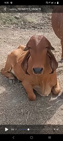 વેચવાની છે.