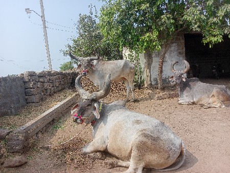 બબ