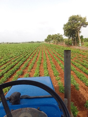 મીની ટ્રેકટર વીજય 16hp