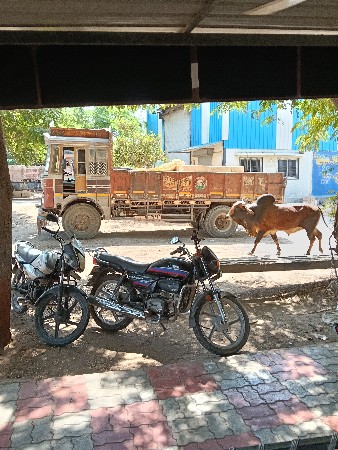 કાગળ ૫ મહિના