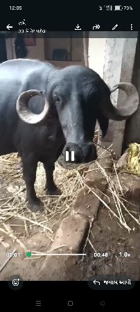 આ ખડાઈ વેચવાની છે