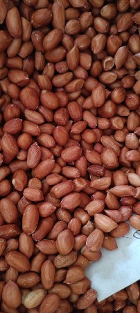 જી ૨૦ નં બિયારણ છે