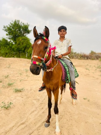 વચેરી