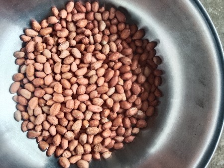 38 નું બિયારણ