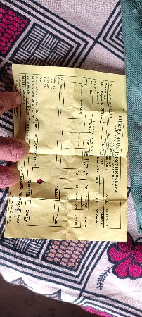 સોરઠ વૈભવ 39  માંડવી બિયારણ