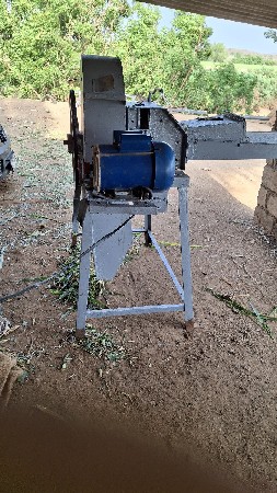 મસીન વેસવાનુસે