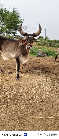 આ વાસણો વેચવાનો છે