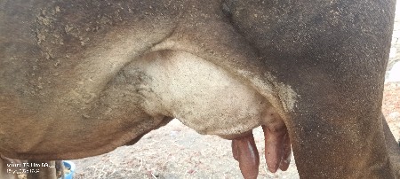 દોઢ મહિનો થયો
