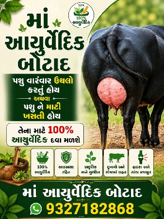 100% आयुर्वेदिक