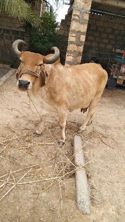 9925469982