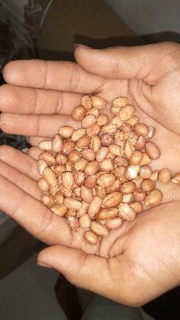 ઞીરનાર 4 ન