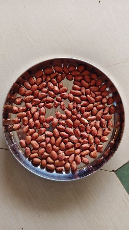 k 41 માંડવી ના દાણા