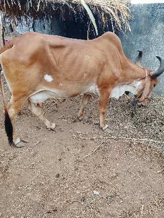 ધધધદૂધ૩૩૪
