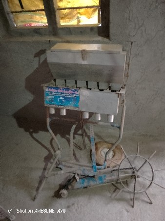 બળદ ધારીની ઓયણી
