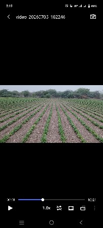 22 નંબર મગફળી ના દાણા વૅશવાના સૅ