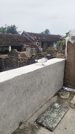 nar na sata karva na he