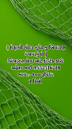શેફાલી ગોલ્ડ તુવેર નુ બિયારણ વેચવાન