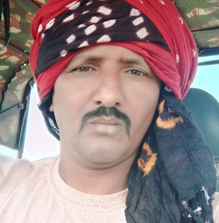 gay vesavani se