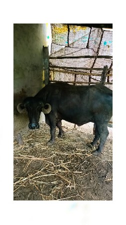 9 મહિના પૂરા થઈ ગયા છે