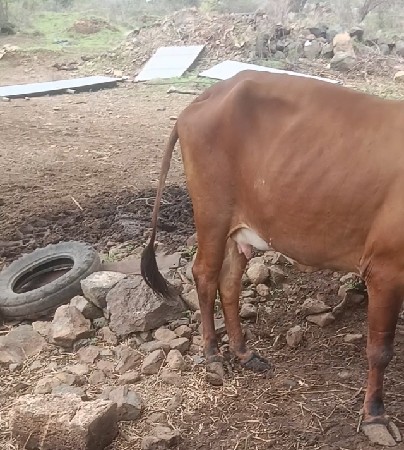 ટોટલ જવાબદારી થી આપવાની છે