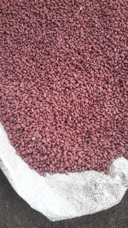 માંડવી