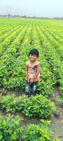 જમીન વેચવાની છે 18 વીઘા છે