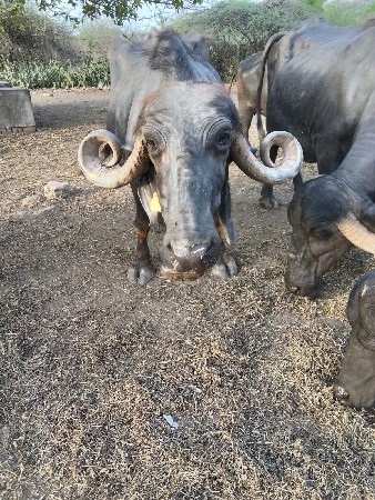 10. દીવશ ની વાર