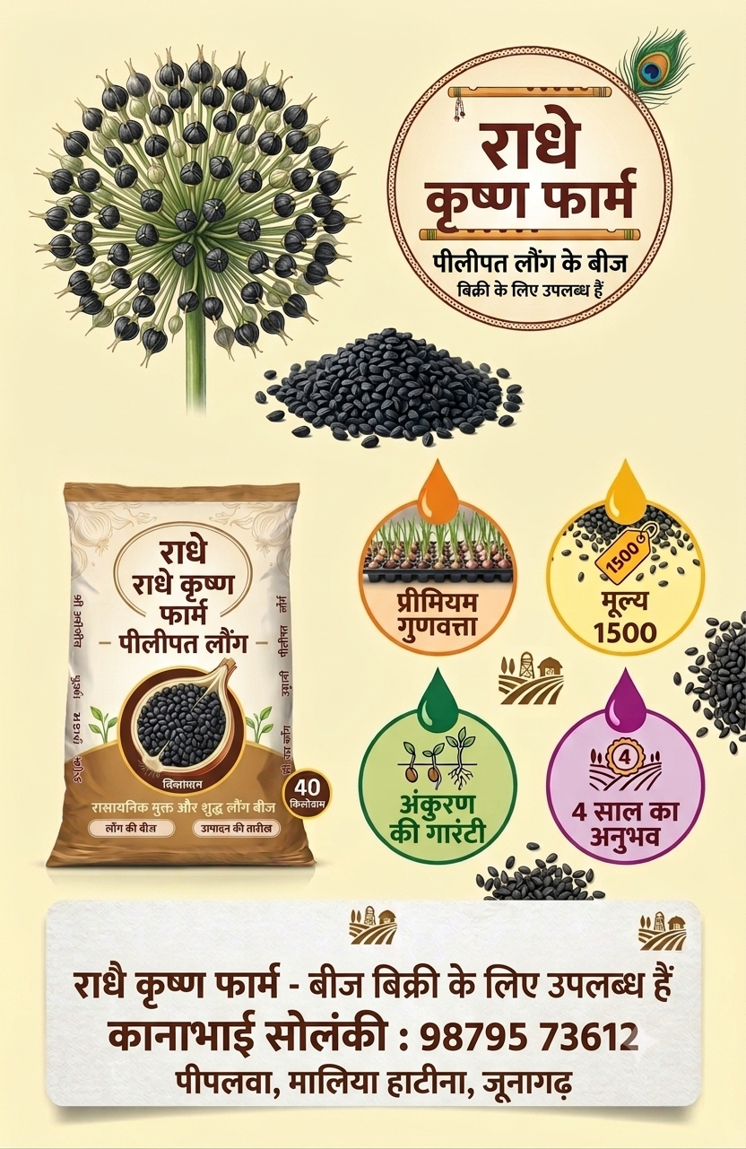 प्याज का बीज