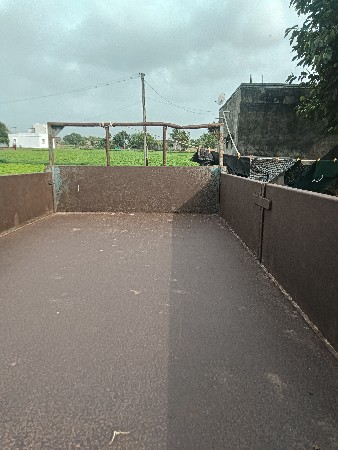 ટોલી વેસવી