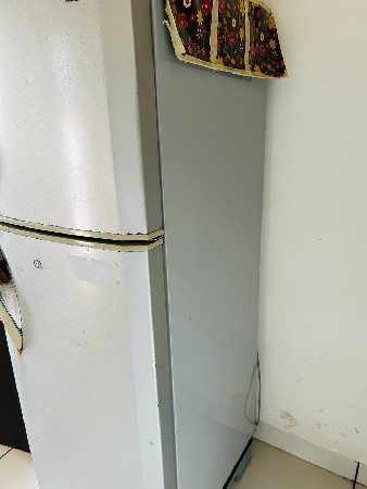 LG DOUBLE DOOR FREEZE 250L
