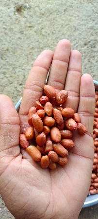 કે 41