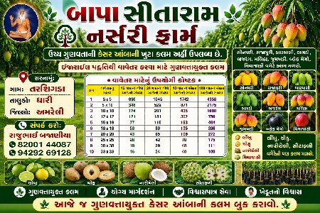 કેસર કલમ લેવા માટે મળો