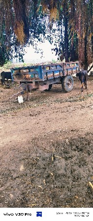 આ ટોલી વેચવાની છે