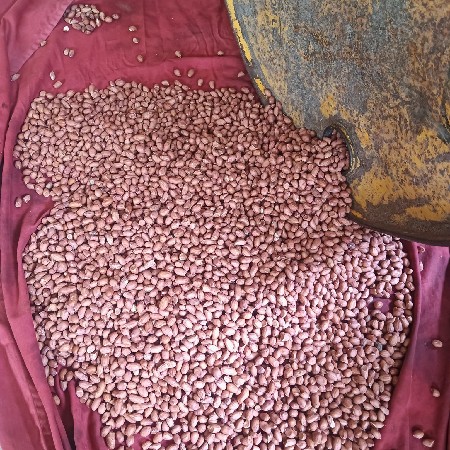 જે વિસ  નુ બિ વેચવાનુ  છે