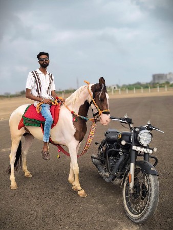 બાલ ભમરી ની ચોખી
