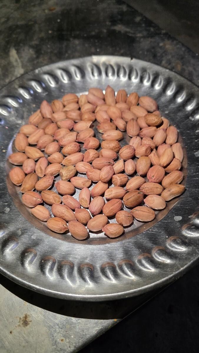 કોરી માંડવી બિયારણ G 22 વેશવાનુ છે