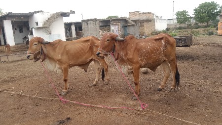 Junagadh Jila pahchan Taluka