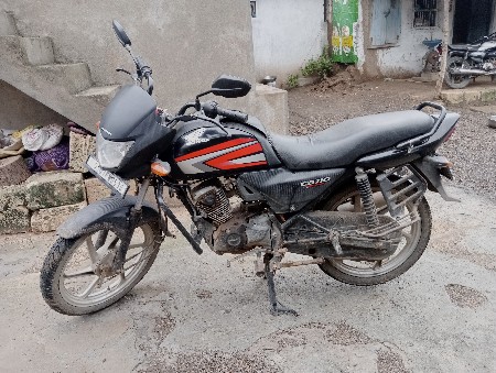 સાટા માં ખડેલી પાડિયુ ભેંસ