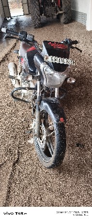 9979565547