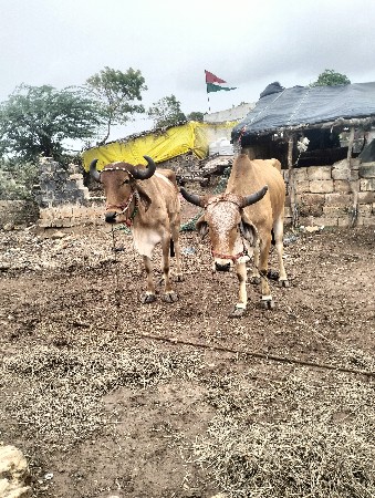 શિવ શહેર