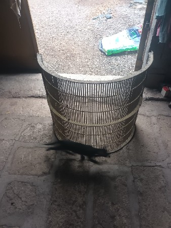 માર્શલ ફૂંકનીની કટર જારી