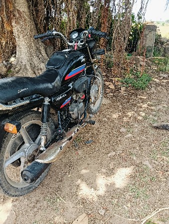 ગાડી વેસવાની પોલીસ પટ્ટો