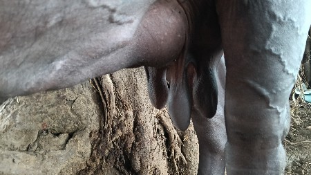 3 vetar vyahe