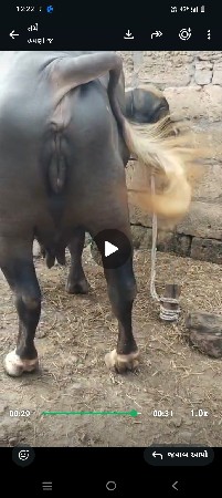 બેસવાની