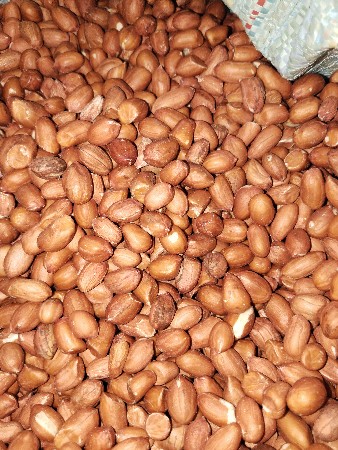 vesavanu se