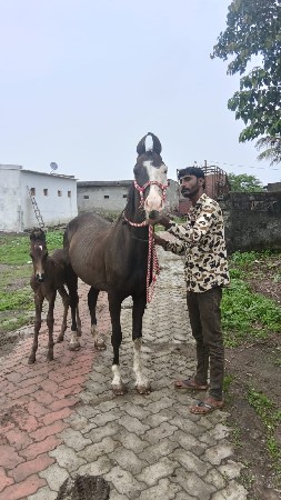 વેચવાની છે
