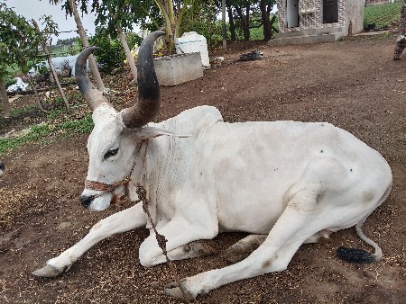 2 ધર હે
