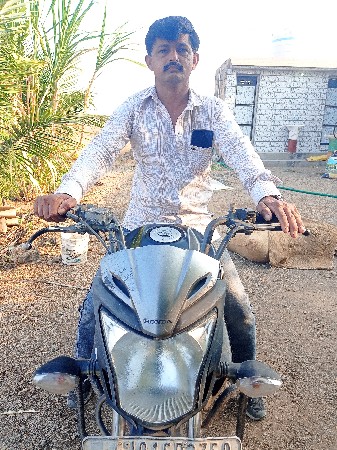 સોડાનું ટીગરશેવેશવુઅથવાસાટાકવા